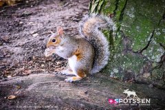 londres_180914__-160