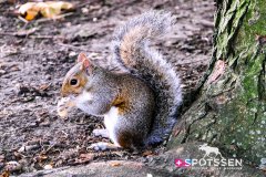 londres_180914__-161