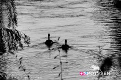 londres_180914__-171