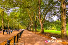 londres_180914__-185