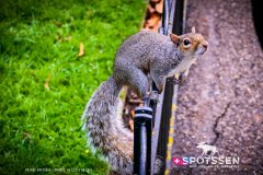 londres_180914__-226