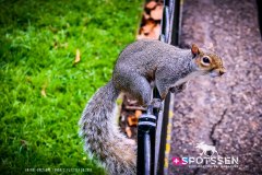 londres_180914__-227
