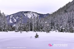champex-lac_190202_-13