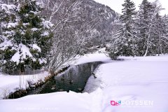 champex-lac_190202_-18
