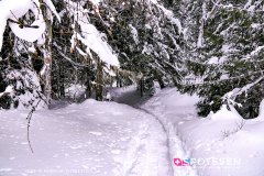 champex-lac_190202_-2