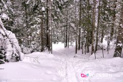 champex-lac_190202_-3