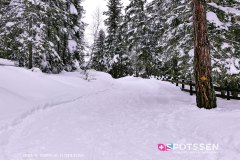 champex-lac_190202_-30