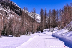 blatten-fafleralp_190319_-20