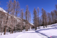 blatten-fafleralp_190319_-22