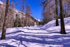 blatten-fafleralp_190319_-23