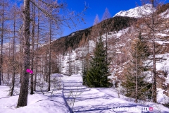 blatten-fafleralp_190319_-25