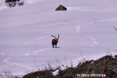 blatten-fafleralp_190319_-30
