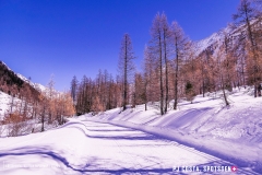 blatten-fafleralp_190319_-31