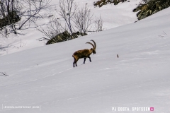 blatten-fafleralp_190319_-32