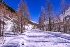 blatten-fafleralp_190319_-36