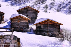 blatten-fafleralp_190319_-46