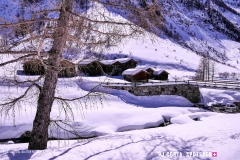 blatten-fafleralp_190319_-50