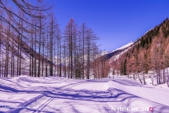 blatten-fafleralp_190319_-53