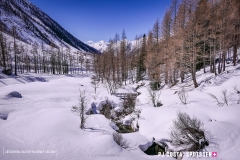 blatten-fafleralp_190319_-55