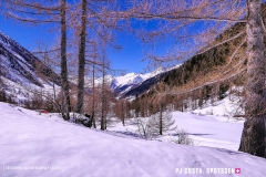 blatten-fafleralp_190319_-57