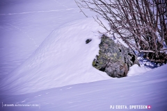 blatten-fafleralp_190319_-59