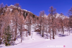 blatten-fafleralp_190319_-66