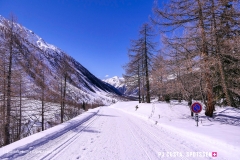 blatten-fafleralp_190319_-68