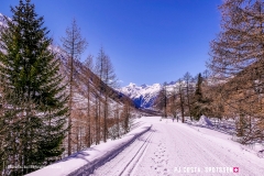blatten-fafleralp_190319_-75