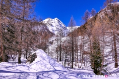 blatten-fafleralp_190319_-76