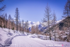 blatten-fafleralp_190319_-81