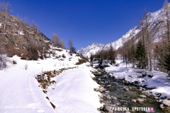 blatten-fafleralp_190319_-86
