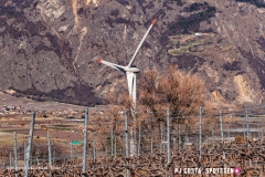 adonis_190317_-48