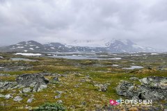 alesund-skjolden_190720_-83