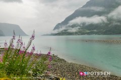 alesund-skjolden_190720_-85