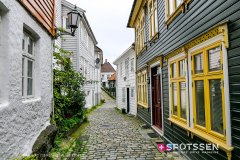 bergen_190722_-166