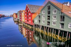 trondheim_190717__-53