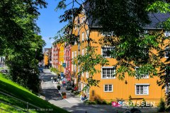 trondheim_190717__-66