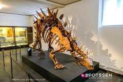 goteborg_190728_-126