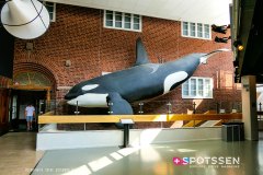 goteborg_190728_-142