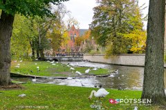 bruges_191026__-163