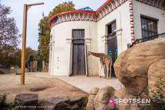 anverszoo_191030_-18
