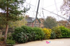 anverszoo_191030_-23