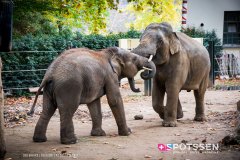 anverszoo_191030_-26