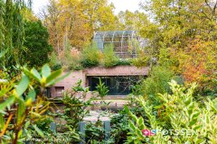 anverszoo_191030_-36