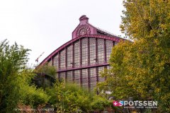anverszoo_191030_-42