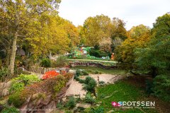 anverszoo_191030_-44