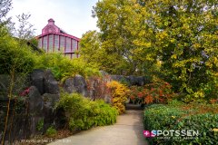 anverszoo_191030_-46