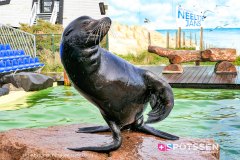 deltapark_191028__-47
