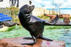 deltapark_191028__-48
