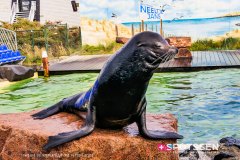 deltapark_191028__-49